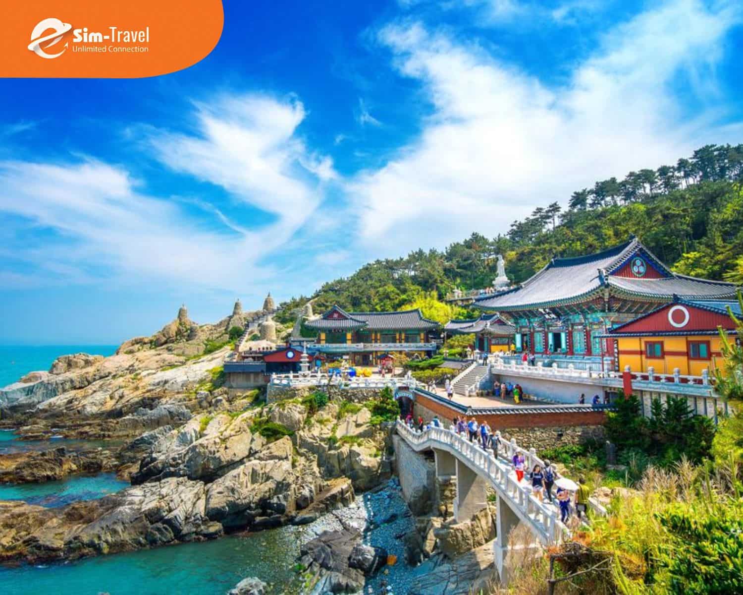 Tuyến Seoul Nami Busan dễ đi cho người lần đầu