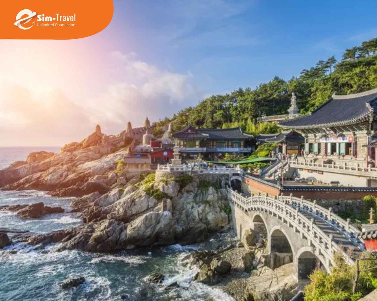 Busan nổi bật với văn h&oacute;a biển đặc sắc v&agrave; nền ẩm thực hấp dẫn