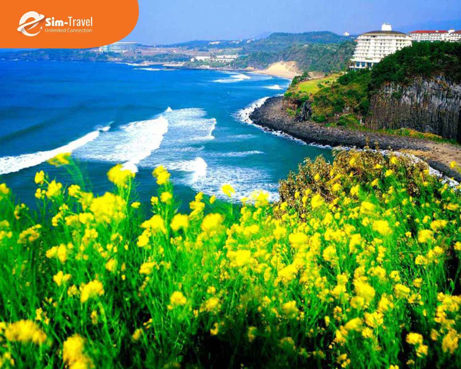 Đảo Jeju thu h&uacute;t du kh&aacute;ch với vẻ đẹp thi&ecirc;n nhi&ecirc;n y&ecirc;n b&igrave;nh v&agrave; thư th&aacute;i