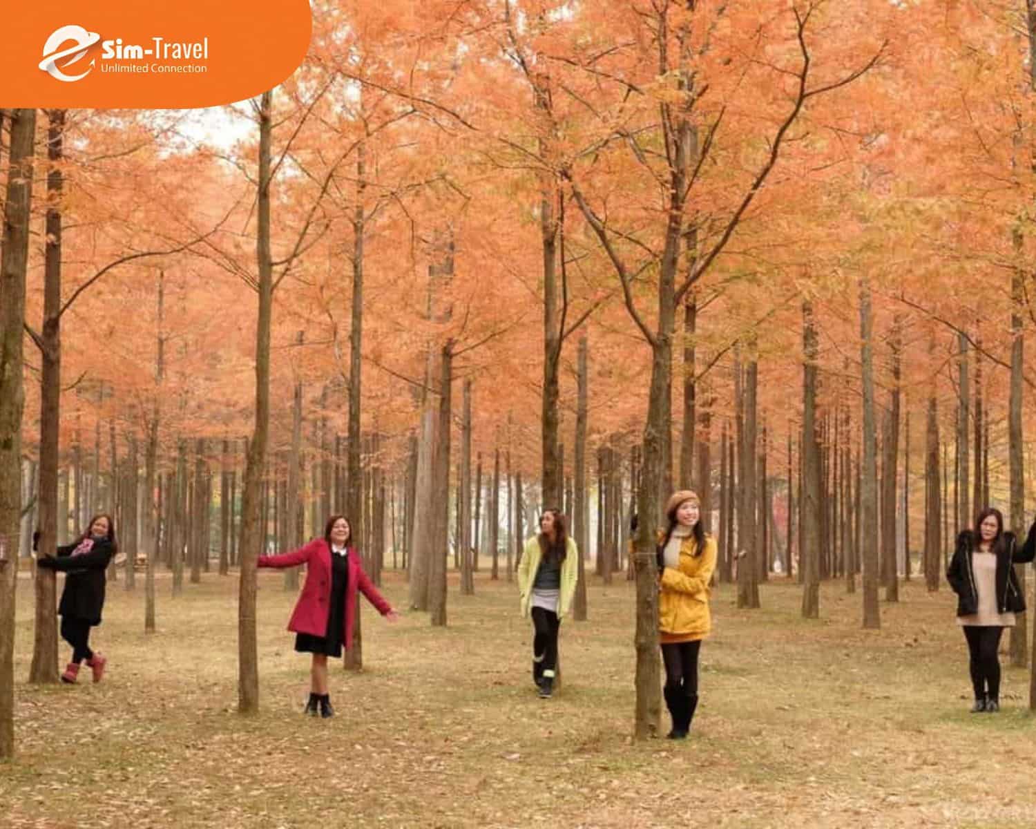 Đi Hàn Quốc thuận tiện hơn khi có trợ thủ công nghệ đồng hành