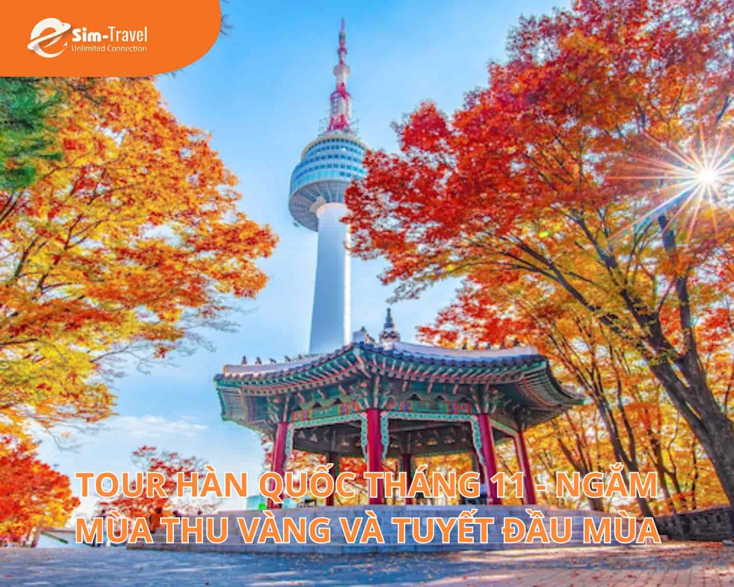 Tour Hàn Quốc Tháng 11 - Ngắm Mùa Thu Vàng Và Tuyết Đầu Mùa