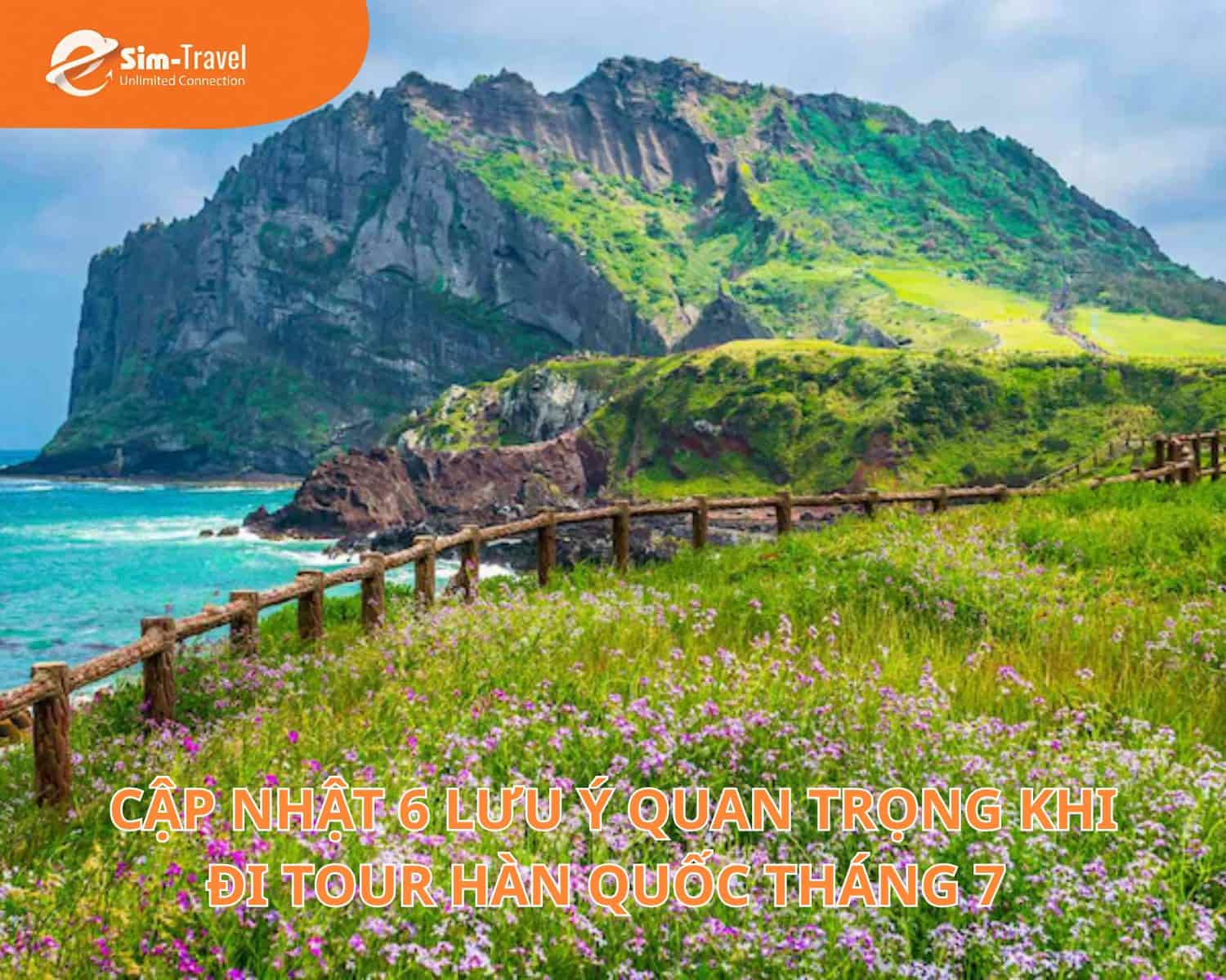 Cập Nhật 6 Lưu Ý Quan Trọng Khi Đi Tour Hàn Quốc Tháng 7