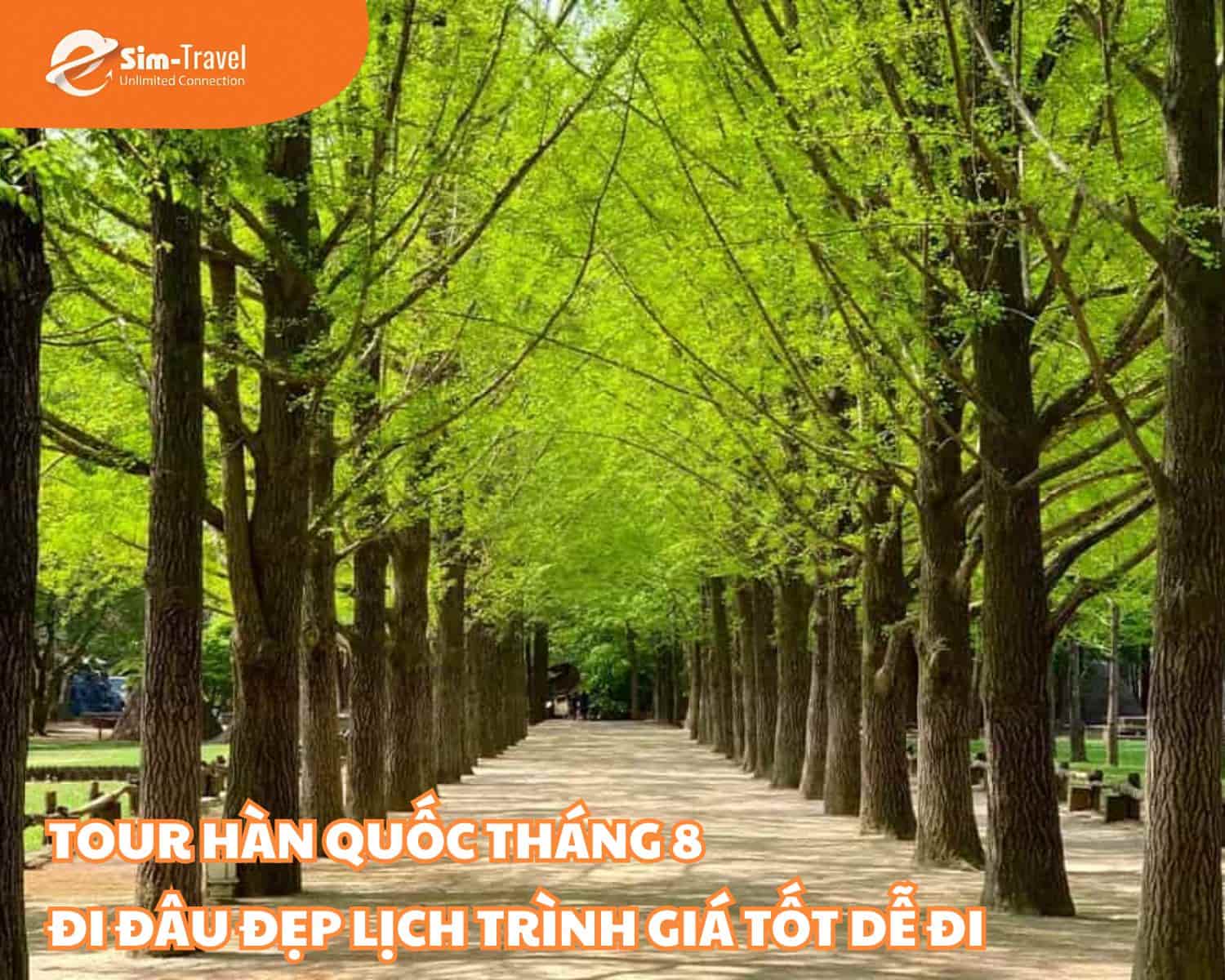Tour Hàn Quốc tháng 8 đi đâu đẹp lịch trình giá tốt dễ đi