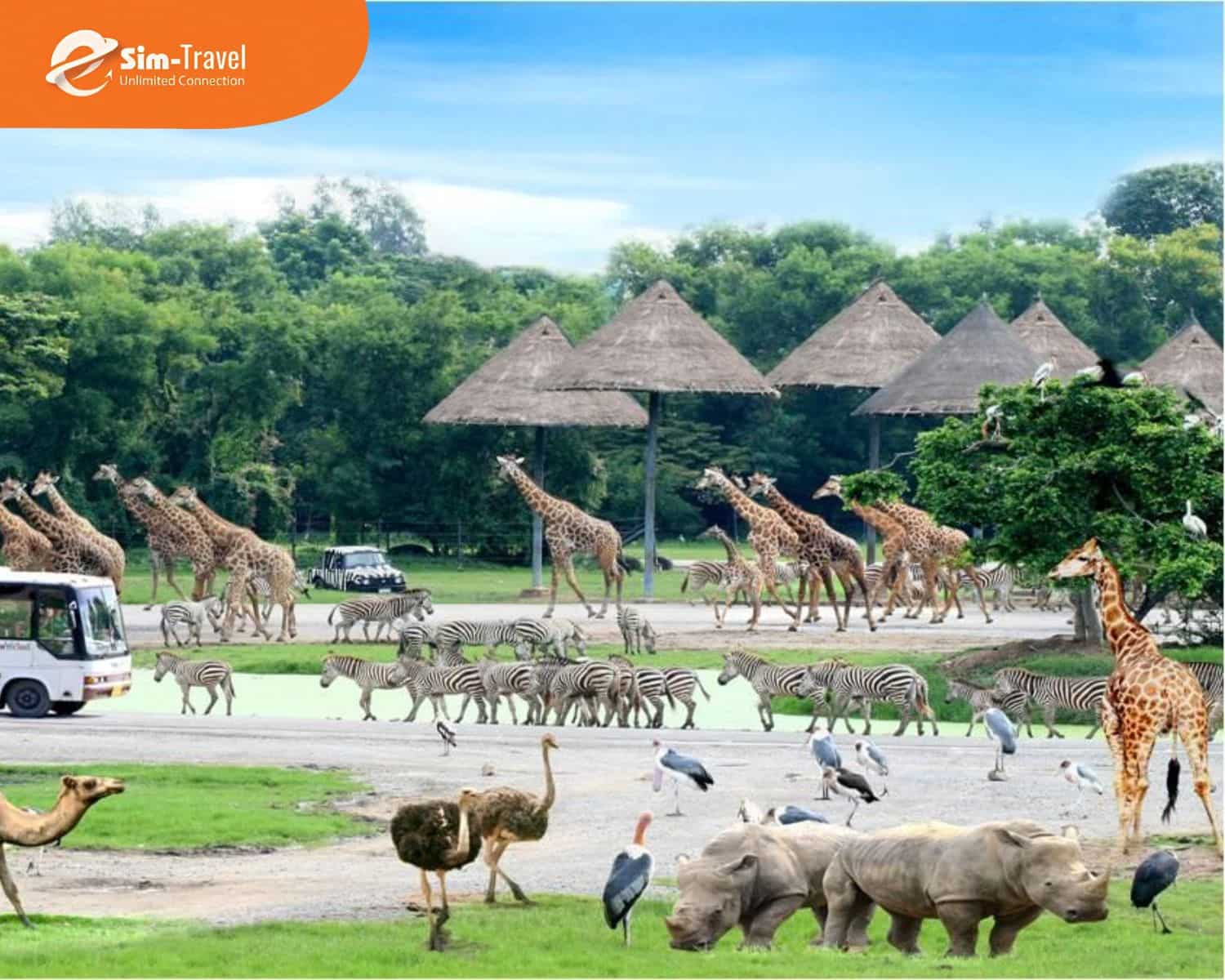 Tối ưu ng&acirc;n s&aacute;ch khi du lịch Th&aacute;i mang lại trải nghiệm trọn vẹn