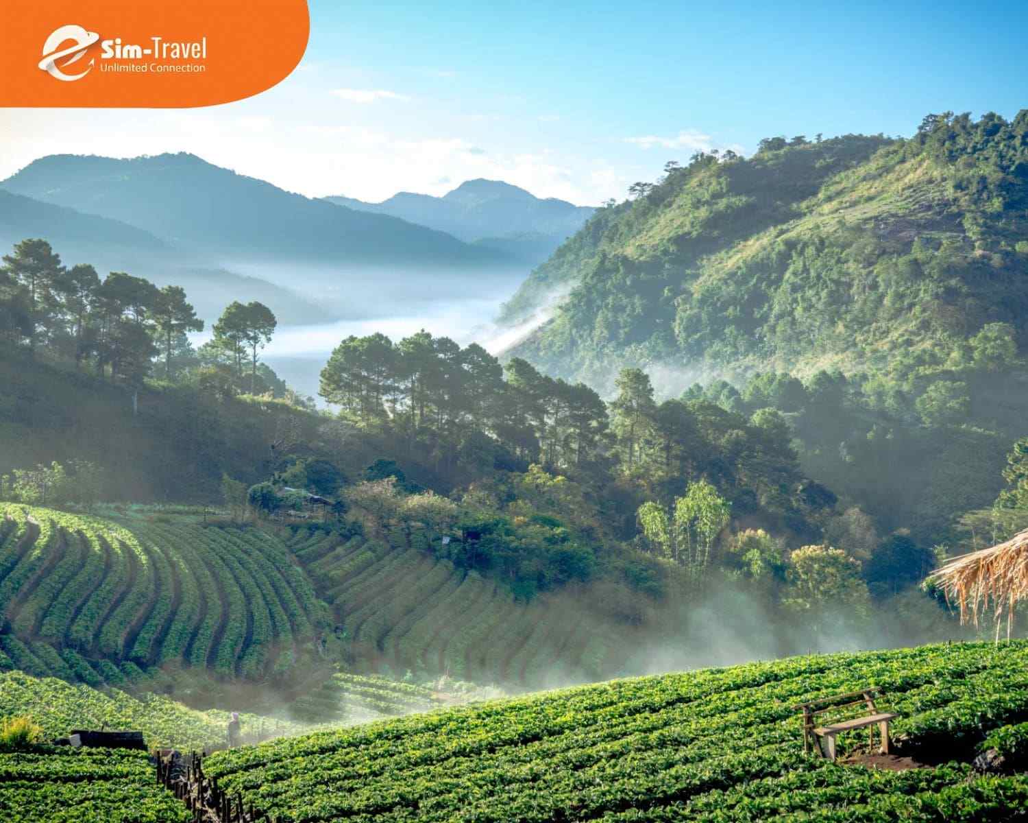 Chiang Mai thu hút du khách với vẻ đẹp cổ kính, khí hậu mát mẻ và lễ hội đèn trời nổi tiếng