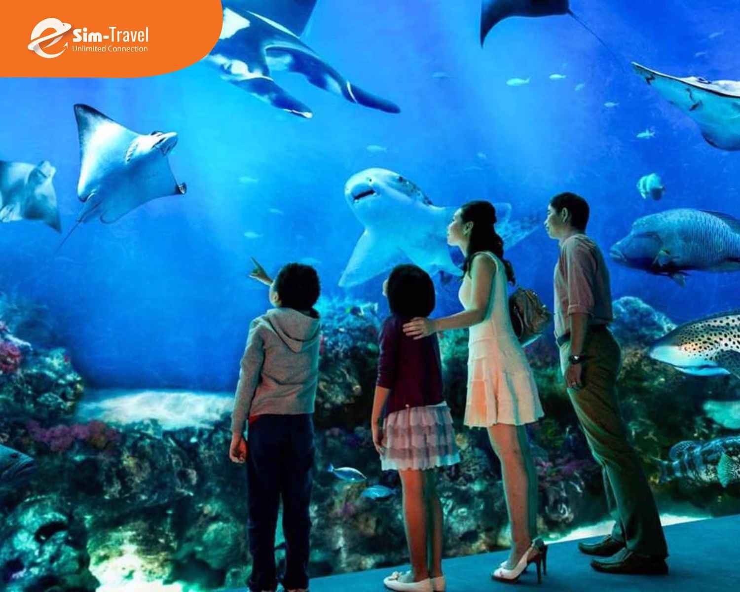 Thủy cung Sea Life Bangkok là điểm tham quan dưới lòng đại dương giữa trung tâm Bangkok