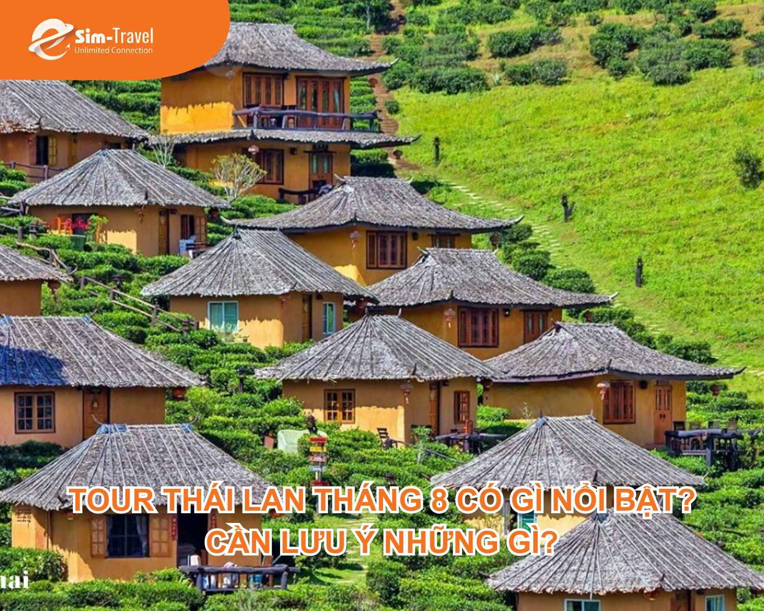 Tour Thái Lan tháng 8 có gì nổi bật. Cần lưu ý những gì?