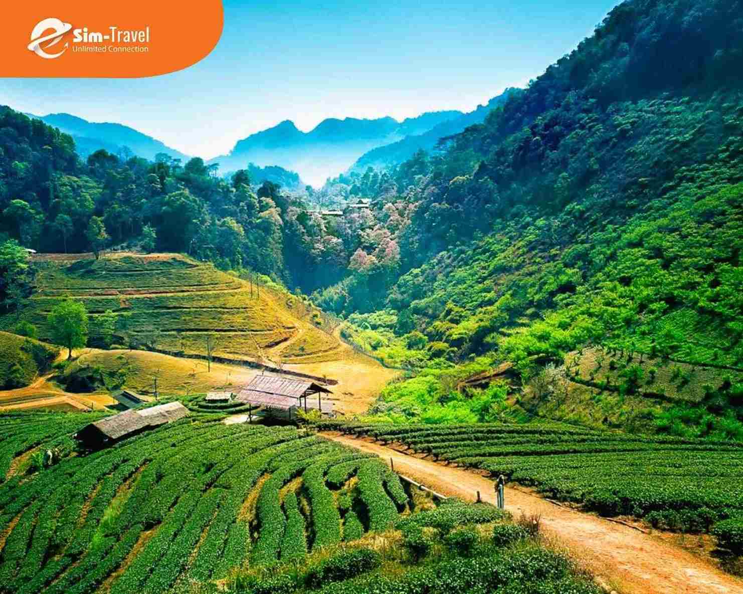Chiang Mai hấp dẫn du khách với những ngôi chùa cổ kính, thiên nhiên xanh mát