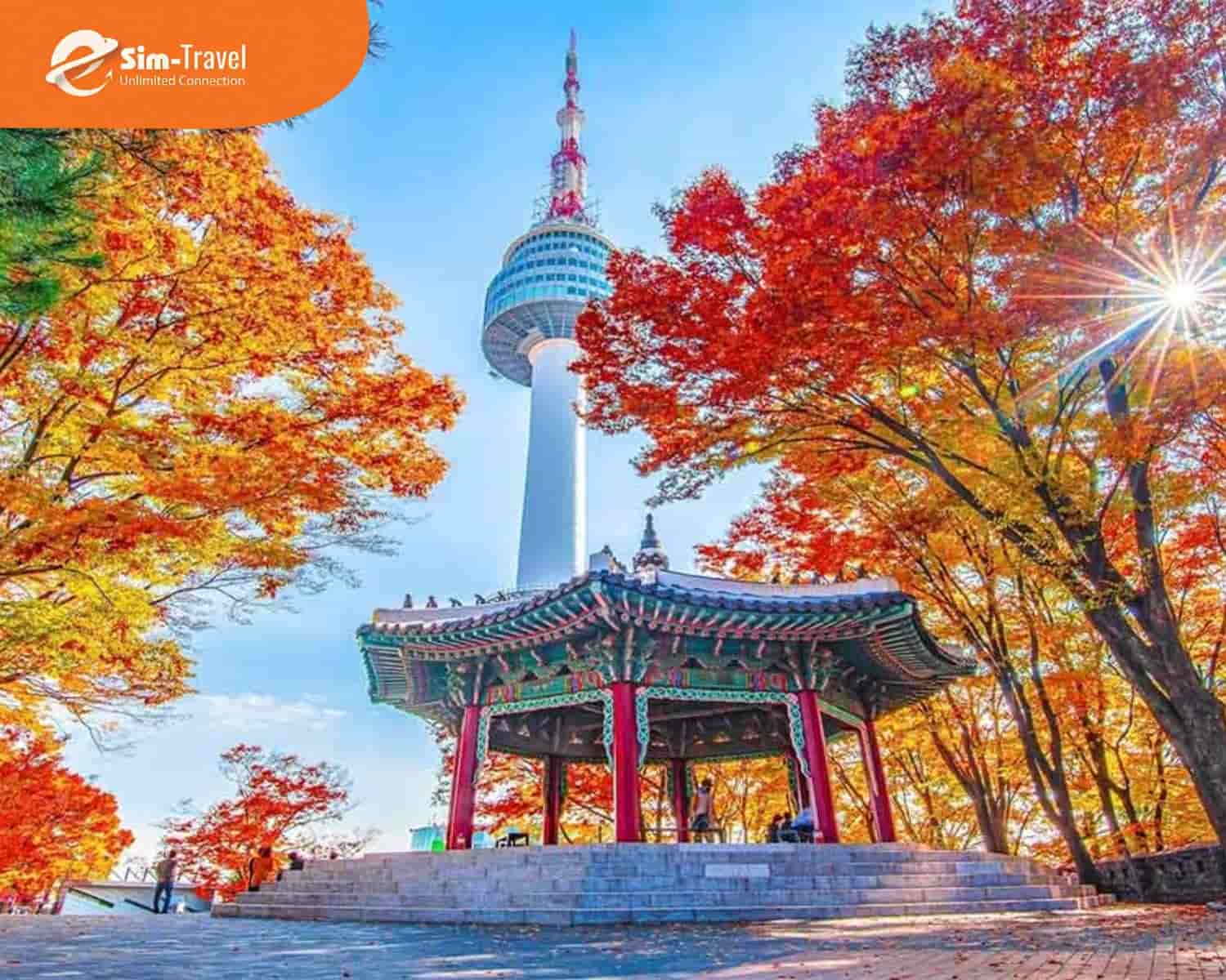 Bước vào thế giới của những bộ phim Hànquoc-seoul