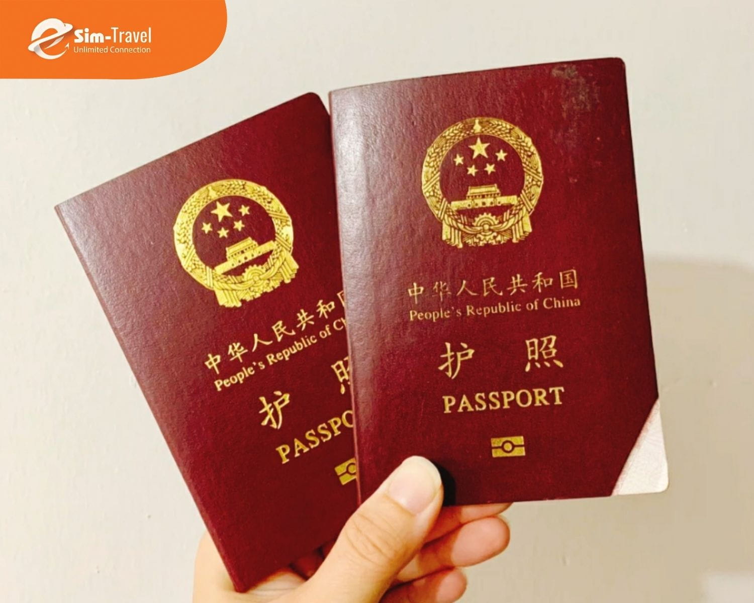 Lệ phí visa bao gồm phí nộp cho cơ quan lãnh sự và phí dịch vụ tại trung tâm CVS.